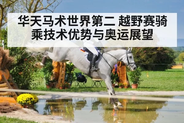 华天马术世界第二 越野赛骑乘技术优势与奥运展望